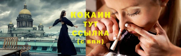 гашик Балахна