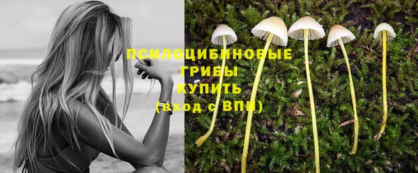каннабис Баксан