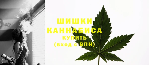 гашик Балахна