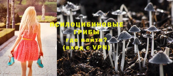 гашик Балахна