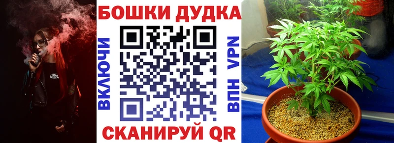 OMG зеркало  Балахна  Бошки марихуана SATIVA & INDICA 